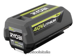 RYOBI Batteria da 40 V 5 Ah batterie e caricabatterie 06V0D706